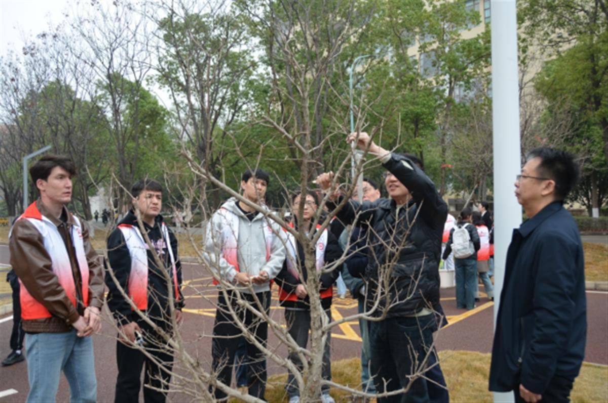 1741964286195.png 1741964286195.png